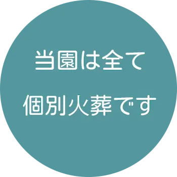 当園は全て個別⽕葬です